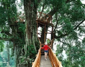 5 Rekomendasi Wisata Alam di Bogor untuk Melepas Penat