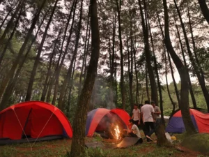 5-rekomendasi-gunung-terbaik-untuk-camping-keluarga