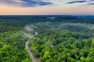 pesona-alam-hutan-amazon-brasil-petualangan-tak-terlupakan