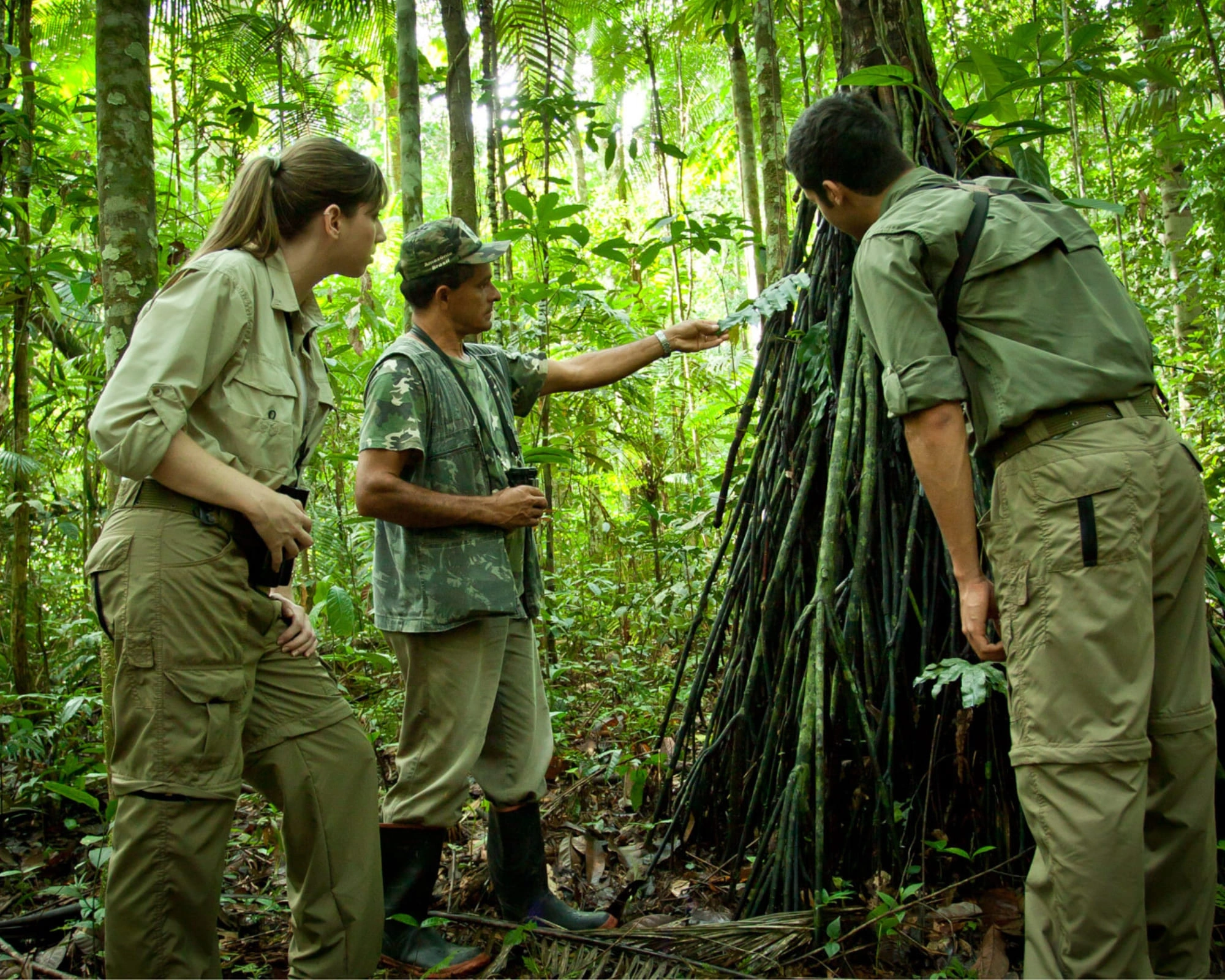 pesona-alam-hutan-amazon-brasil-petualangan-tak-terlupakan