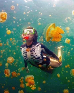 5-destinasi-bawah-laut-terbaik-di-indonesia-yang-mendunia