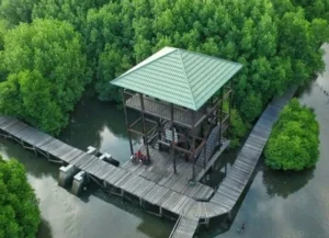 panduan-ekowisata-hutan-mangrove-ngurah-rai-2026