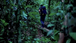 jelajah-hutan-kalimantan-belajar-survival-bareng-suku-dayak