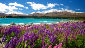10-wisata-alam-new-zealand-surga-dunia-di-selatan