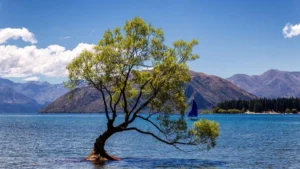 10-wisata-alam-new-zealand-surga-dunia-di-selatan