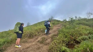gunung-merbabu-panduan-lengkap-pendakian-jalur-selo