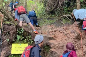 pesona-ekstrem-jalur-pendakian-gunung-salak